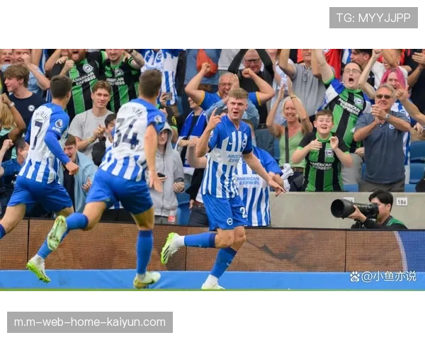 三笘薰脚踝伤势反复缺阵九场 布莱顿边锋世界杯前复出存疑